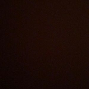 Meet your Posher, Todd